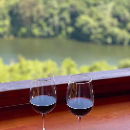 Pedra Douro Ferienhaus Fontelas